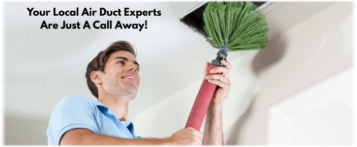 Ashburn AirPulse Vent Cleaning