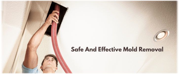 Air Duct Mold Removal in Ashburn