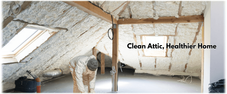 Attic Cleaning Ashburn