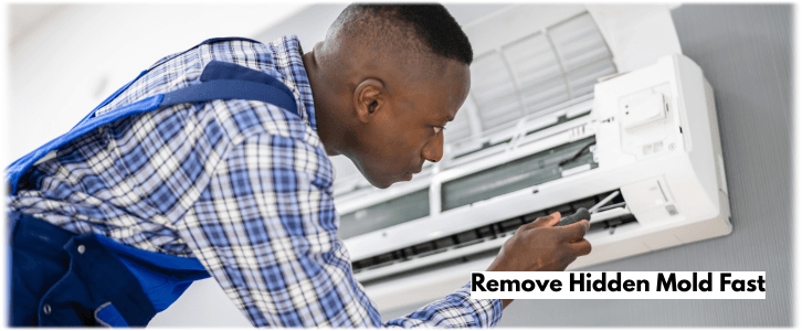 HVAC Mold Removal Ashburn